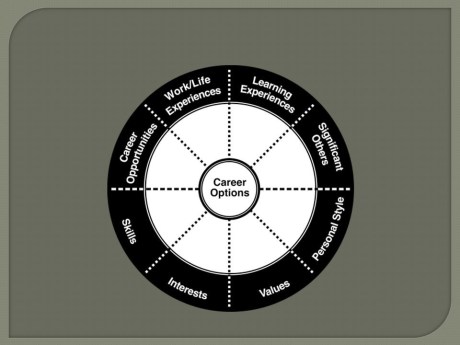 2. Career Wheel Picture