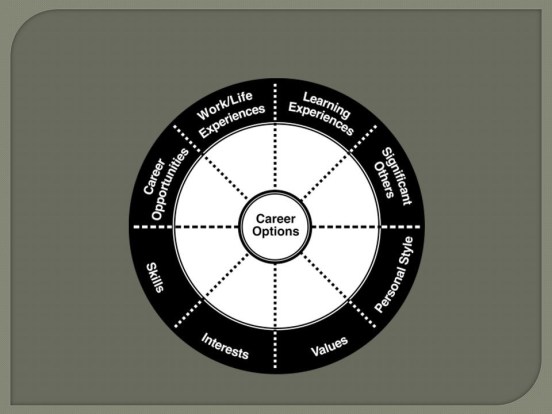 2. Career Wheel Picture