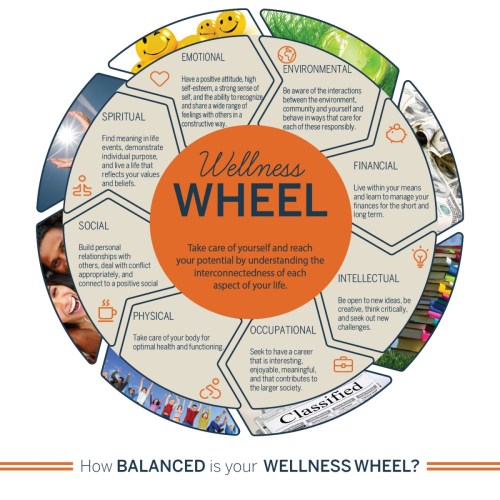 2019-wellness-wheel-how-balanced